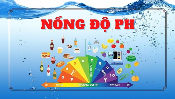 <p style="text-align: center;"><strong><span style="font-family: arial, helvetica, sans-serif;">C&acirc;n bằng pH cơ thể</span></strong></p>